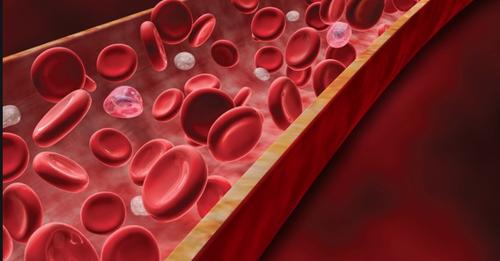 Густая кровь опасна! Какие полезные продукты помогают разжижать кровь?